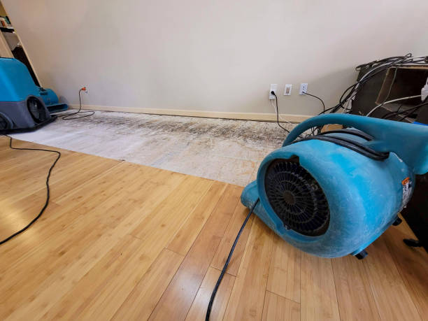 Professional Emergency Water Damage technician working in Faribault, MN